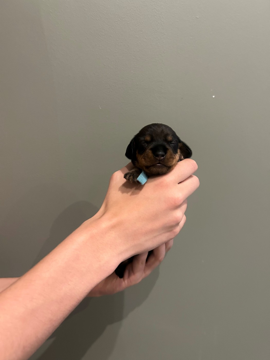 Baïa 